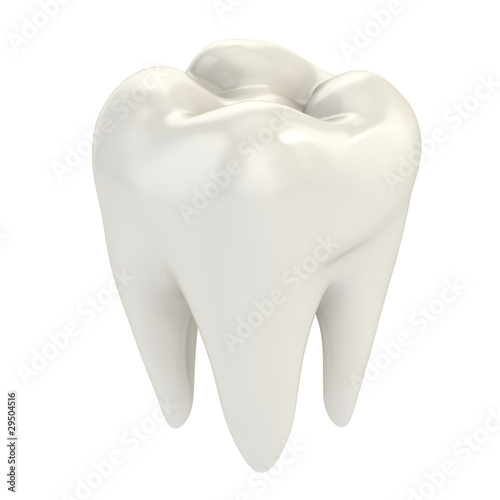 Illustration: isolated tooth 3d illustration isolated tooth 3d illustration
