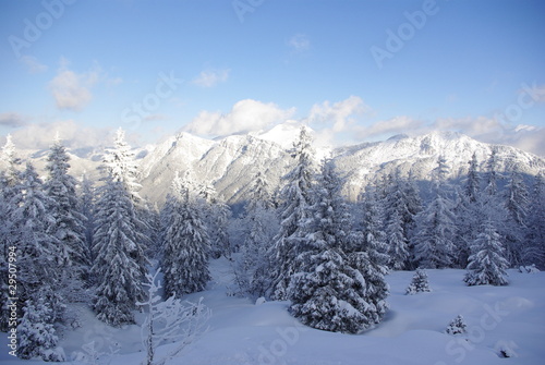 Photo: La tête dans la neige 1 La tête dans la neige 1