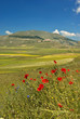 Foto: Primavera sui Monti Sibillini Primavera sui Monti Sibillini