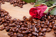 Coffee and rose Coffee and rose