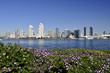 View from Coronado