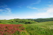 Photo en ligne au meilleur prix Early summer landscape