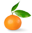 Tangerine isolated on white