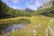 Alpen, Fanes