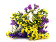 Statice flowers - Limonium Sinuatum