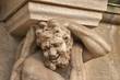Satyr close-up, Wallpavillion of the Zwinger Palace, Dresden Satyr close-up, Wallpavillion of the Zwinger Palace, Dresden