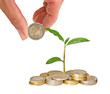 Plant growing from coins