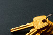 Bunch of keys isolated on grey