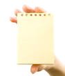 Hand and notepad isolated on white