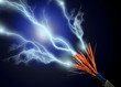 Photo en ligne au meilleur prix Lightning.