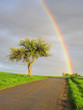 Rainbow's end. Beautiful view on rainy and sunny landscape.