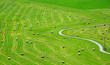 Bales of hay on meadow. Aerial view on summer landscape.