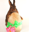 Osternhase