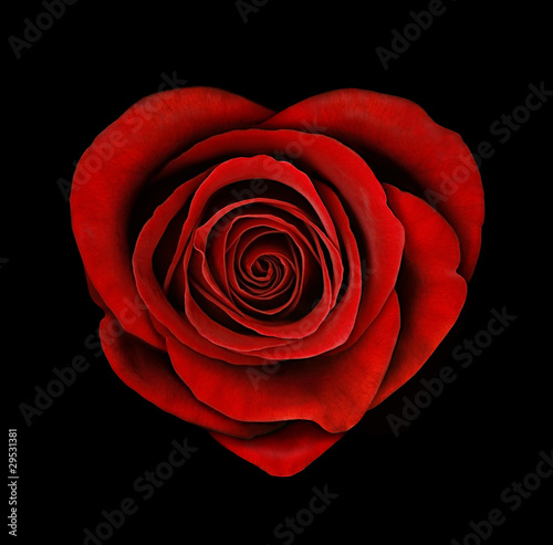 Illustration: Herzförmige Rose Herzförmige Rose