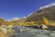 Lötschental, Wallis, Schweiz, Europa