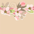 Pink floral background with flowers and plants Pink floral background with flowers and plants