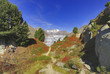 Aletschgletscher, Riederalp, Wallis, Schweiz