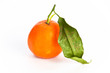 Single orange fruit with a leaf