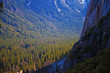 Yosemite national park