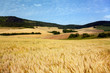 Landschaft bei Jena