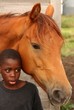 Boy with his horse