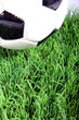Fußball auf dem Rasen