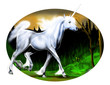 Unicorn run