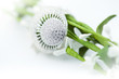 Jewelry with brilliants and plants Jewelry with brilliants and plants