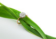 Jewelry with brilliants and plants Jewelry with brilliants and plants