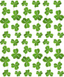 Seamless vector shamrock background