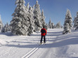 Langlauf
