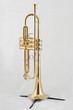 golden trumpet on a stand golden trumpet on a stand