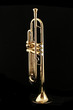 gold trumpet in night gold trumpet in night