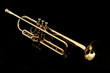 gold trumpet in night gold trumpet in night