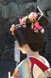 女性　日本女性　着物　日本髪　後ろ姿