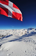 Savoy Flag