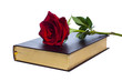 book with a rose book with a rose