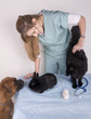 Photo: jeune femme vétérinaire entourée d'animaux jeune femme vétérinaire entourée d'animaux