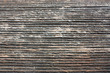linien