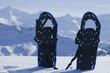 Schneeschuhwandern in den Schweizer Alpen