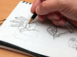 drawing
