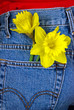 Spring Pocket