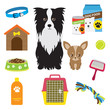 Dog Supplies