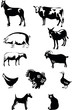 Animaux de ferme Animaux de ferme