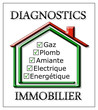 logo diagnostic immobilier logo diagnostic immobilier