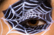 spider makeup