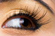spider makeup