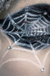 spider makeup