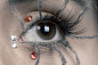 spider makeup