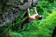 Rock climber on route